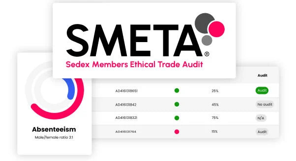 Understanding SMETA: The Gold Standard in Ethical Supply Chain Audits